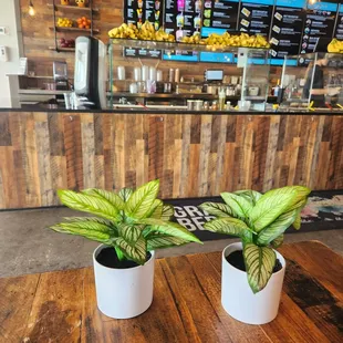 two potted plants on a wooden table