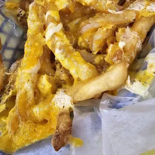 Appetizer: cheese fries