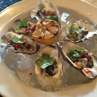 Oysters on the Half Shell