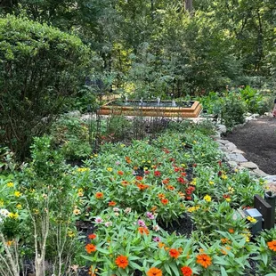 Garden and fountain