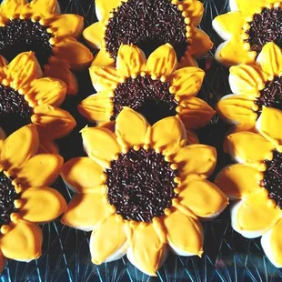 a tray of sunflower cupcakes