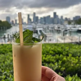 drink