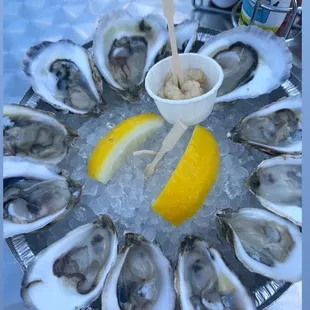 Oysters... yum.