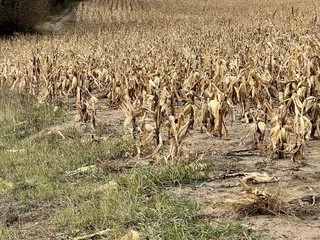 Anoka Nature Preserve