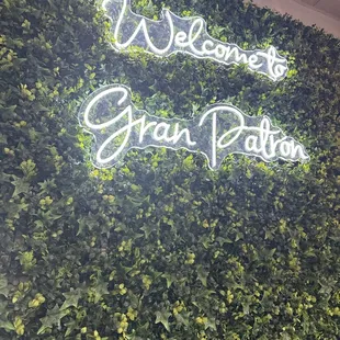 Interior wall.