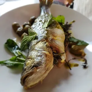 Branzino