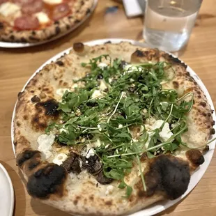 funghi (front) daviola (back)