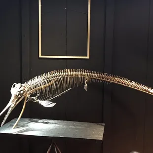 Fossil