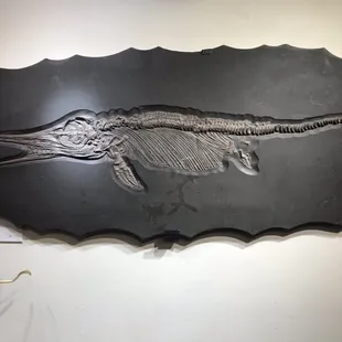 Fossil