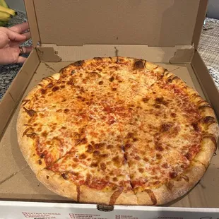 Cheese pizza