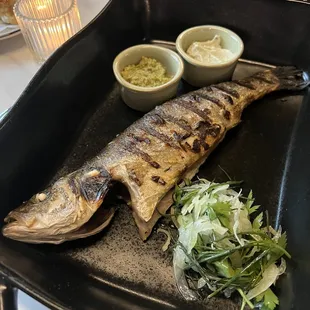 Grilled Branzino