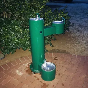 Grand Blvd Park:  3-way water fountain