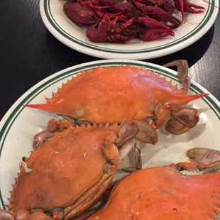 Can't beat the price for AYCE!