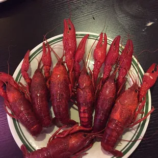 Soooooo big crawfish！