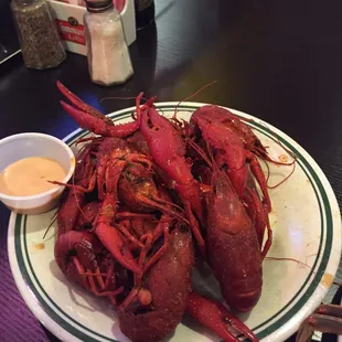 Louisiana crawfish is so big！wooow！