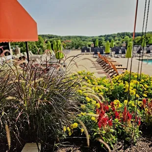 a view of the pool and patio area