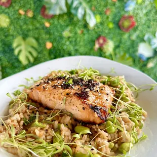 a plate of food with broccoli sprouts