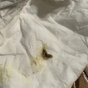 A dead fly