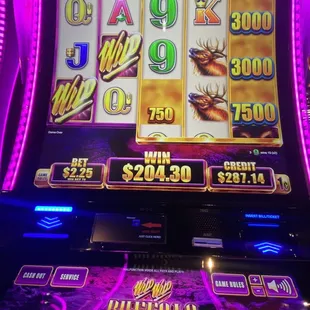 Winning!!!!