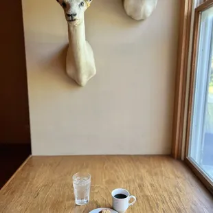 Breakfast with my friends in my room