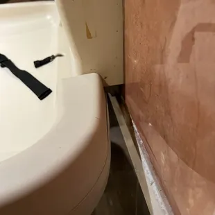 Roaches at least what I was able to capture. It took me a while to pull out my phone but there were plenty more!!