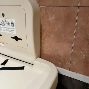 Roaches in restaurant