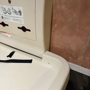 Roaches in restaurant