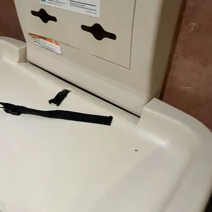 Roaches in restaurant