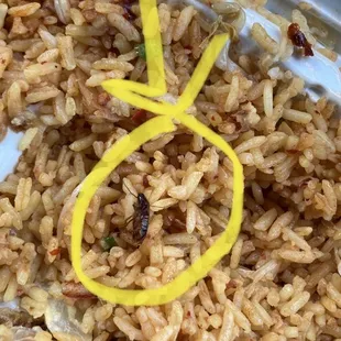 Roach right in the rice