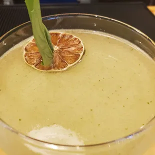 Money tree close up.