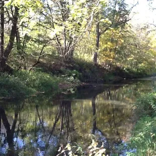 Remeniscing about the cru gone by.