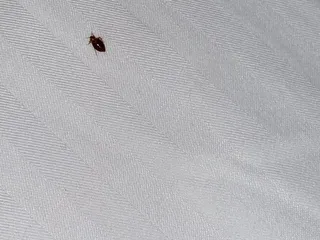 La Quinta Inn & Suites by Wyndham Mathis