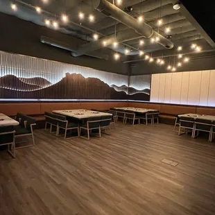 Beautiful VIP Karaoke room that can serve up to 50 people.  Nice!