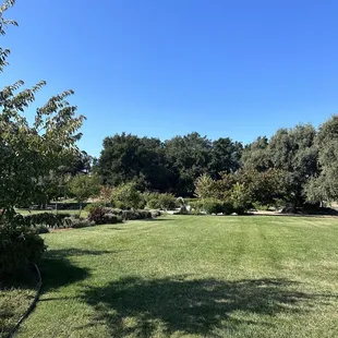 a grassy field with trees and bushes