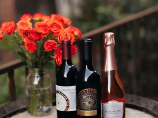 Elevation Ten Winery