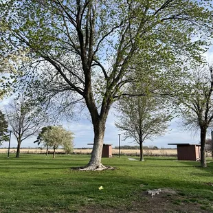 Outside