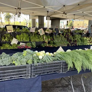 a variety of vegetables