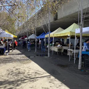 people shopping under a bridge
