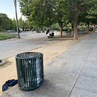 Lady living in farmers market zone.