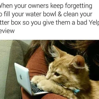 Kay K.