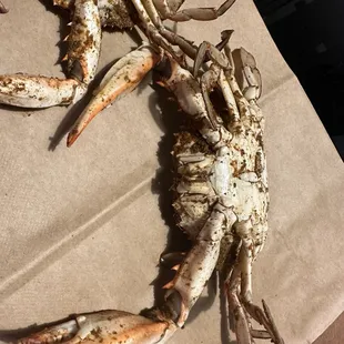 Steamed Blue Crabs