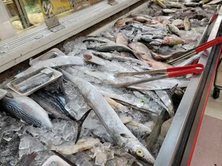 Asia Grocery