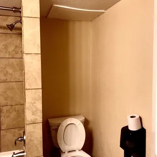 The area above the toilet that is sagging with water damage marks.  That whole area is riddled with black mold!