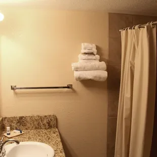 Guest's Specious Bathroom