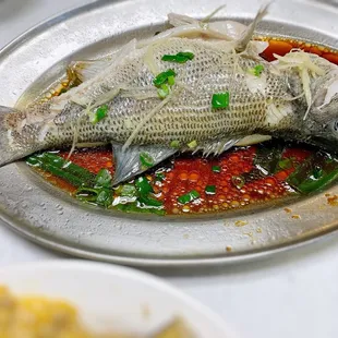 Cantonese Steamed Fish