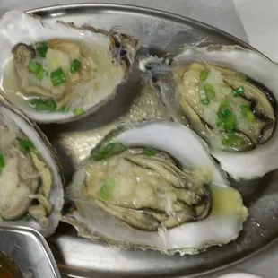 Oysters