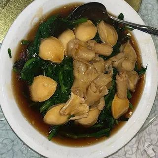 65. Reishi Mushrooms over Mustard Greens