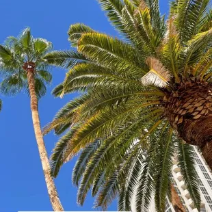 Time for the lazy river