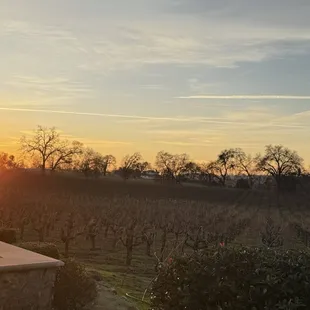 View from our private patio