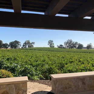 View from our private deck